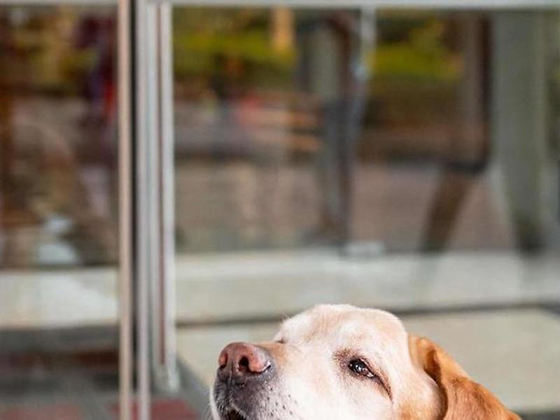 97C1390C9529BCCD7B8594DD2996C2E5