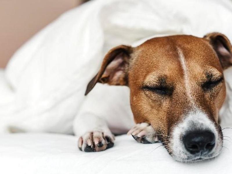 571B6766C550A84E9DB6AFF8905FA4DA