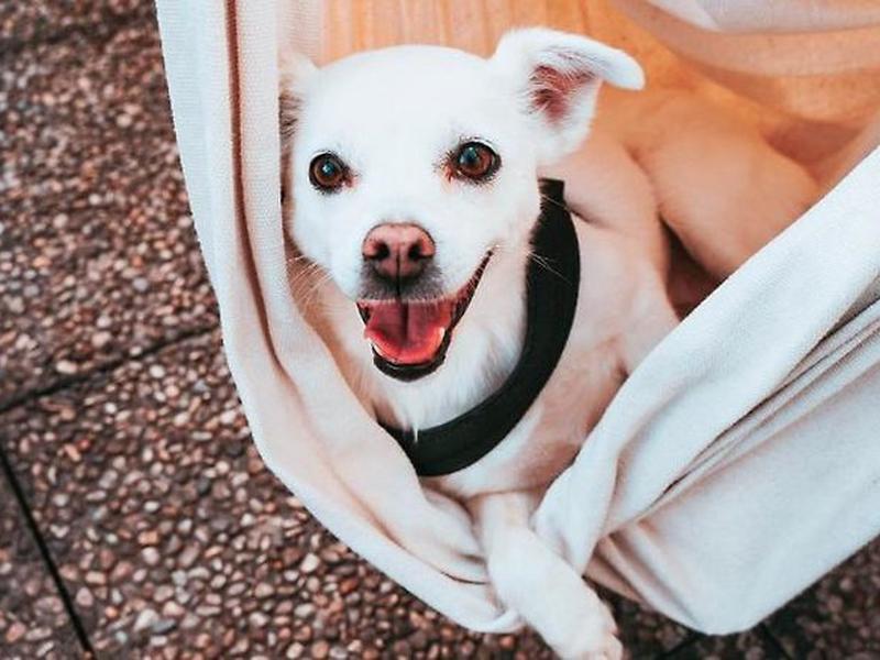 C6838E72CAB67357A79FBE0CCDB77776