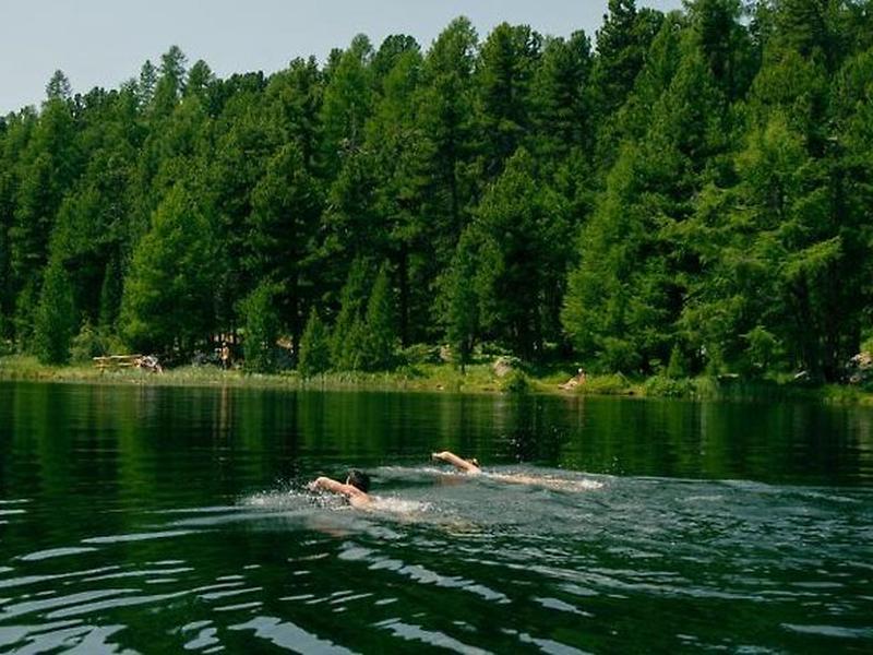 677687E3C41297EAD146F4795AC26193