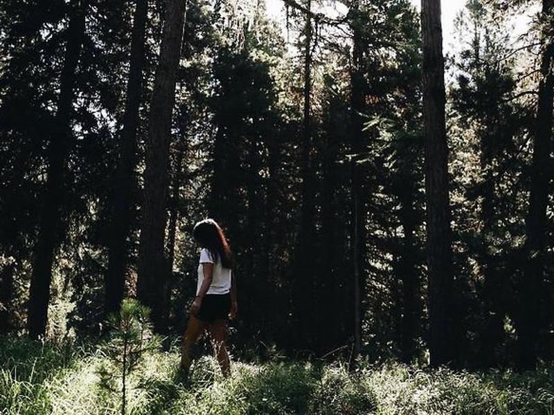 6B2668F3548AC96E1A53FEEED65FBC07