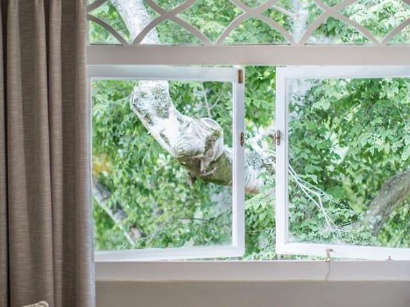 52E5152459EEF90CF6EEB8B19E53AF62