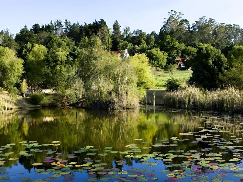 2992505886B5EA66570D978394D32FA3