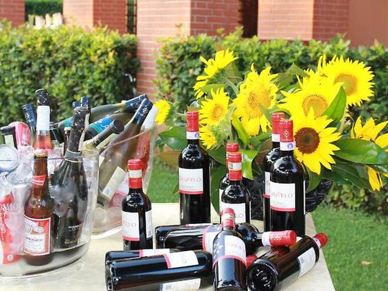 A529C07EB6FC75F03D2EE82BCDA28F5A