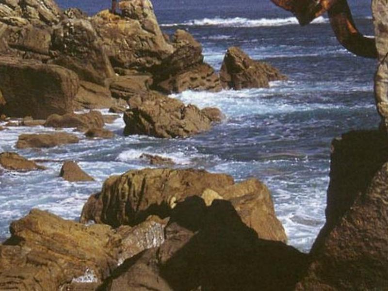 06F5FC69E1EF69C4AE453315D364EF5D