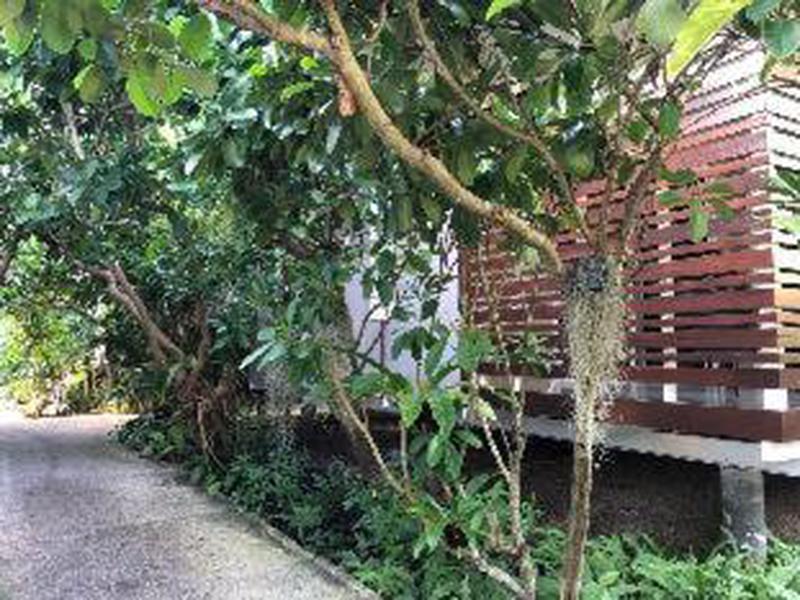 4F8233CA10E32165488D0137521F2C1F