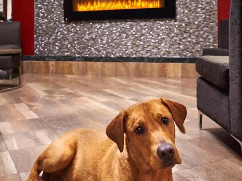 4C518F0C8B3A5E2F330579CBB801E351