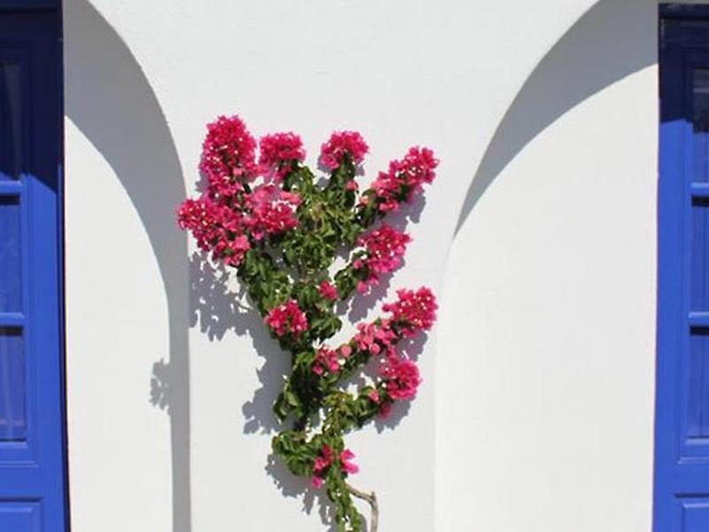 64EC120473B9A006C4FCD912AF1DFDFA