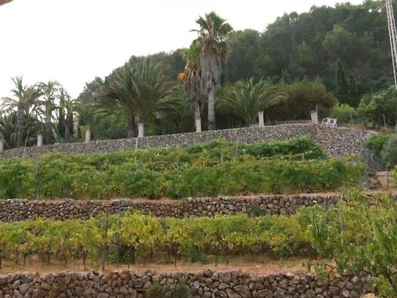 4F9B4E22966B8BF444C7C08FE29D9F57