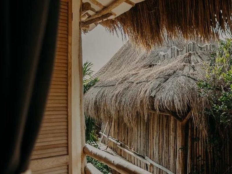 EC84A5F297E6CAAAECF4AF6EA373CAEE