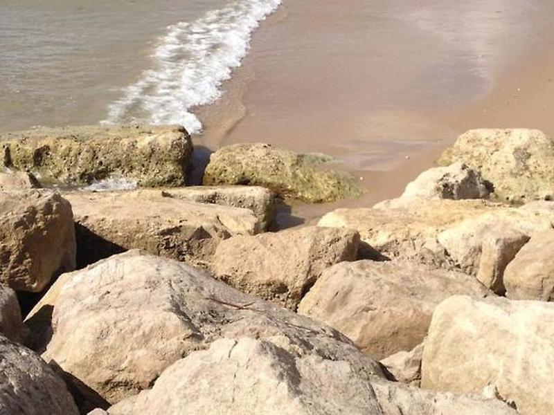 D4F69507429E5CA8BE17CFC470A16801