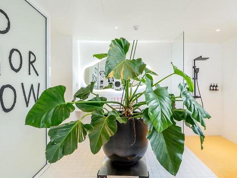 13BDC37078DD4791420A4F6AE7CEB39A