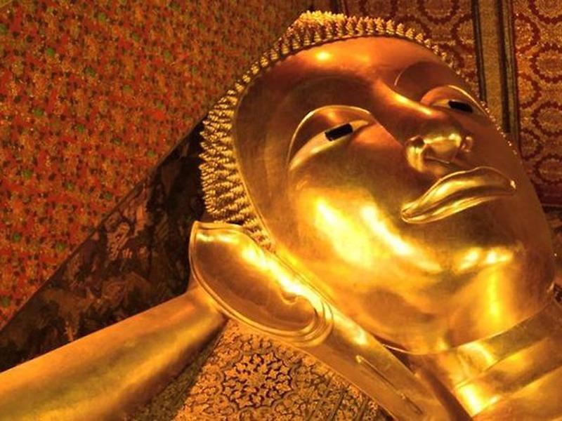 9D6D822A856F0C4A1C39EF51EC95918C