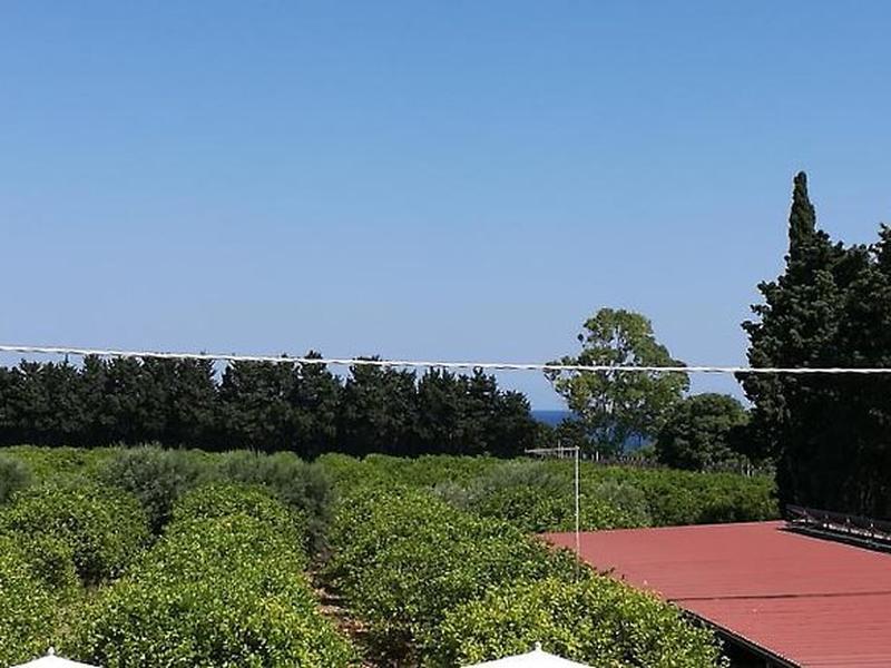 2E424BB9135C70F6C39835F09168533D