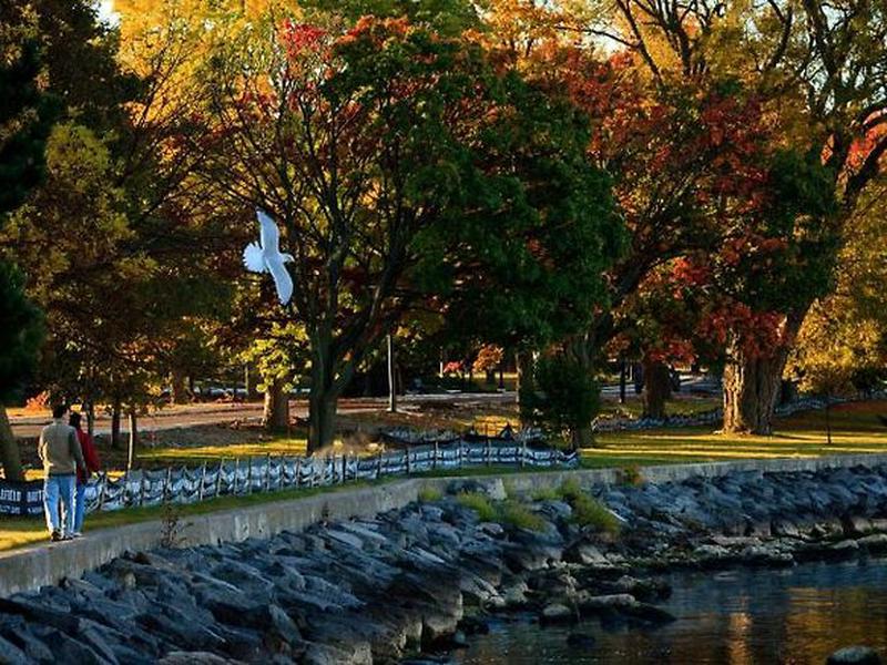 156BEE7B1E89ADB29ABF57A102F48894