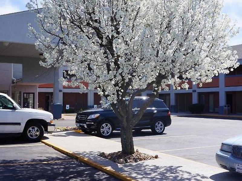 8B29182FCED22217E39175097EB026BF