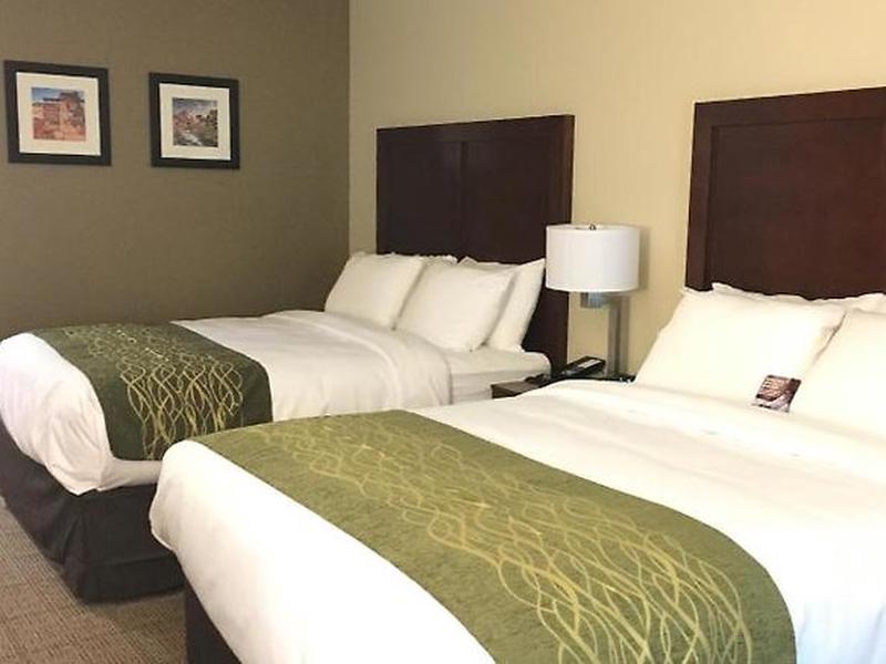 D31EF90E8557DB414A6454CF1D4EBFB2