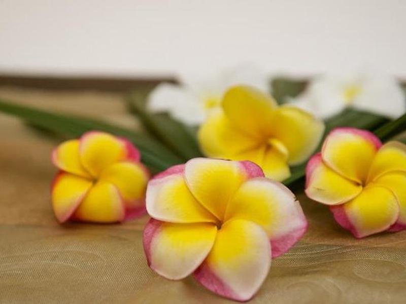 58FC0875AE26DD1D849E72C22DF32162