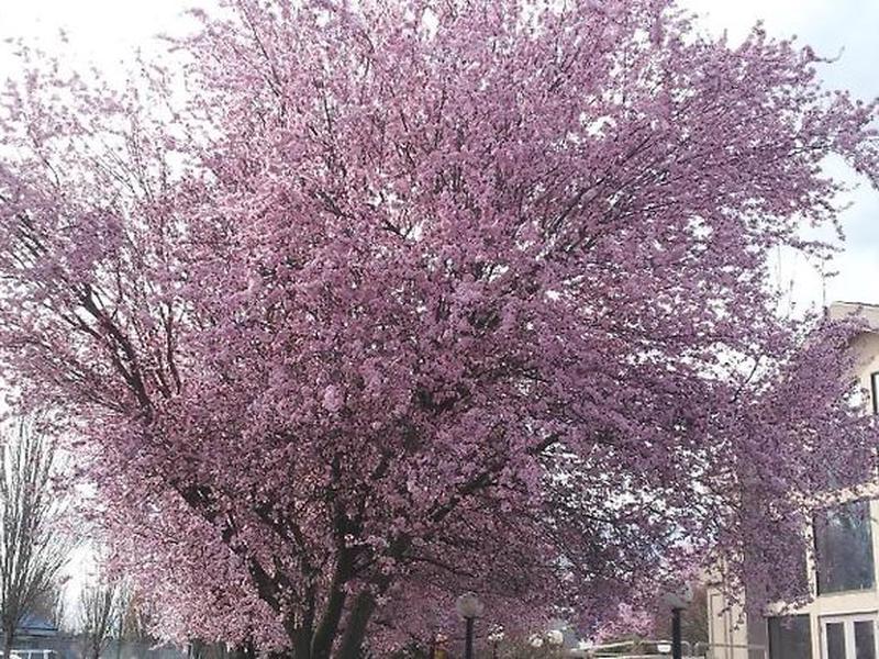 91C9586D9599C4E45DAC38FA8EDEBD9B