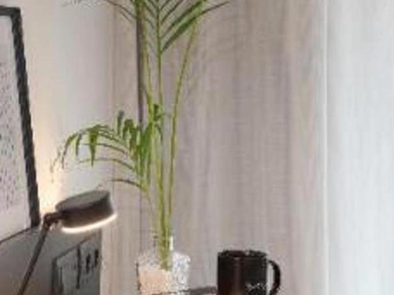 CE617A234311696F6B09BCD18D3ACA2B