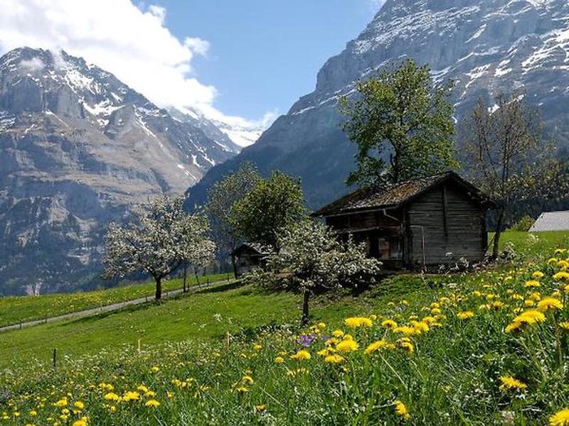 BAA4B8D81C104B1D26741A386D8C194F