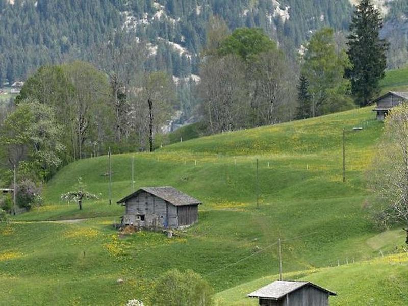 20A939A71A633BD5A90F61F88D95F68D