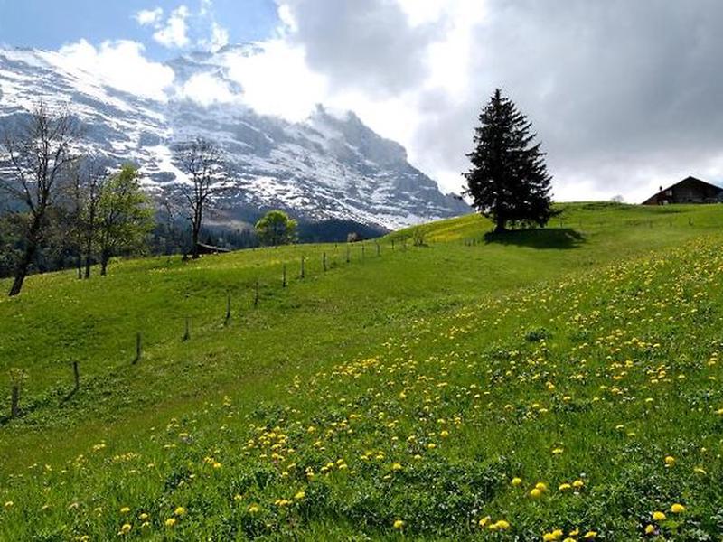 9B426232214273709C6B1D57DCB2018A