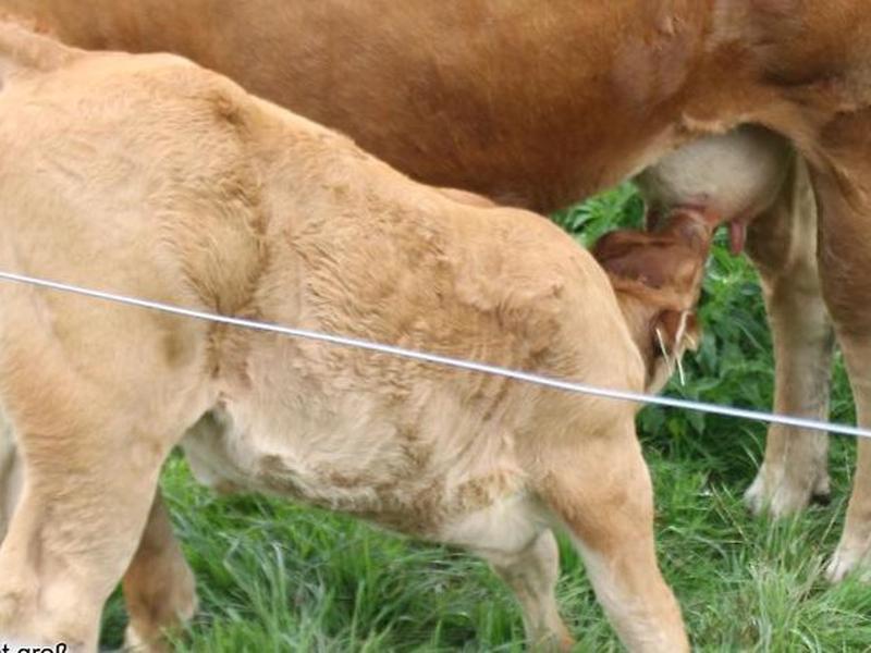 5C0FACB96FD17FF3E1965EFA4E21E2ED