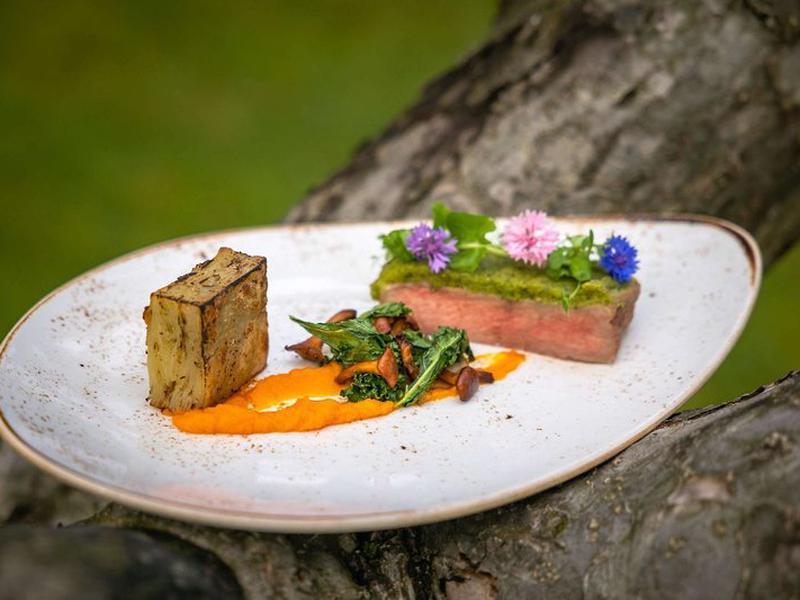 5064F476DED168EB39E135E21FD28F9C