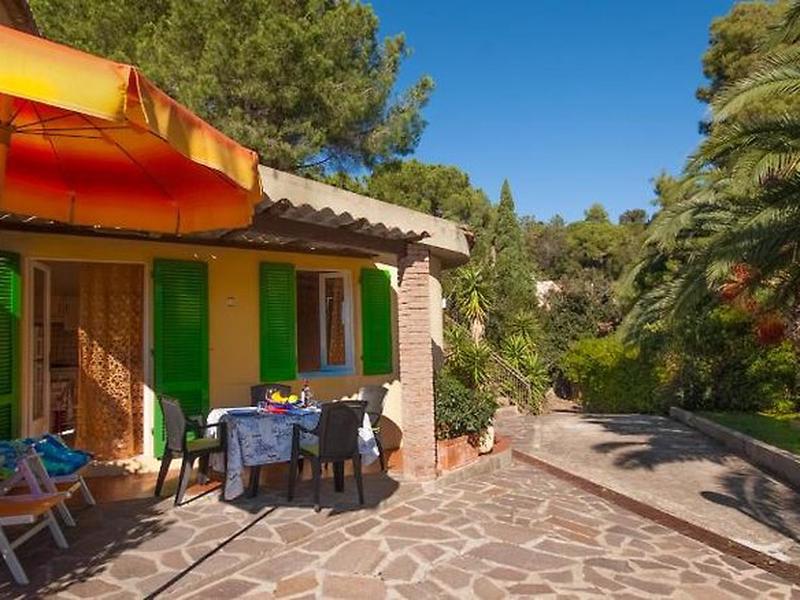 E6B5AADBA1A67CEBA061B23412C21D96