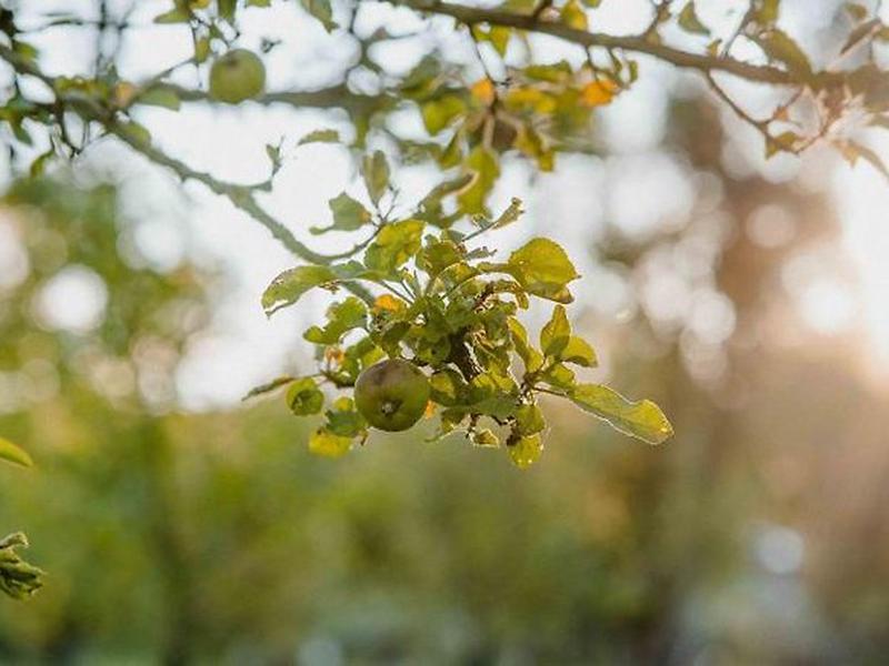 D6F9515A2BF797393FB758FC26ABCA91