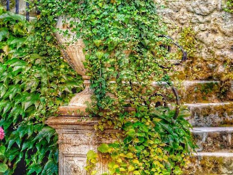 4500DD0BE2BBF8C3C5708678166A1B24