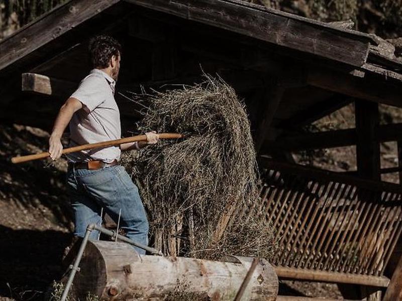 202B63E2532D3E00FF82BAFBBD326885