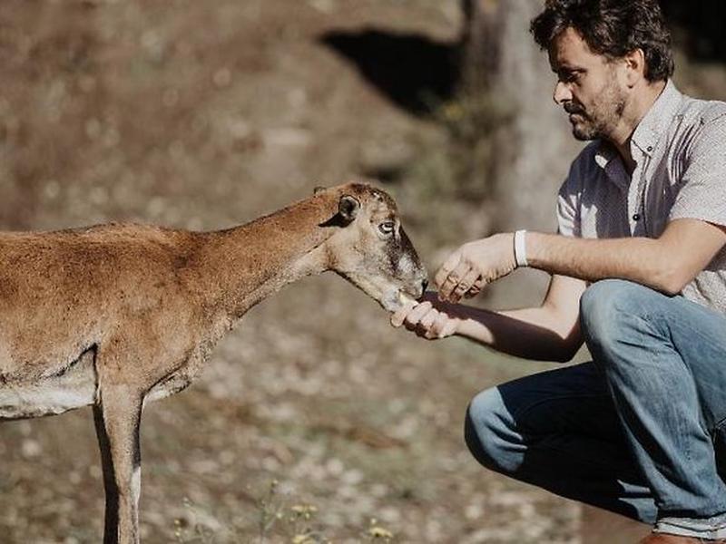 1DE5F2164AD4EA9A7278CDB8C2FFEBE3