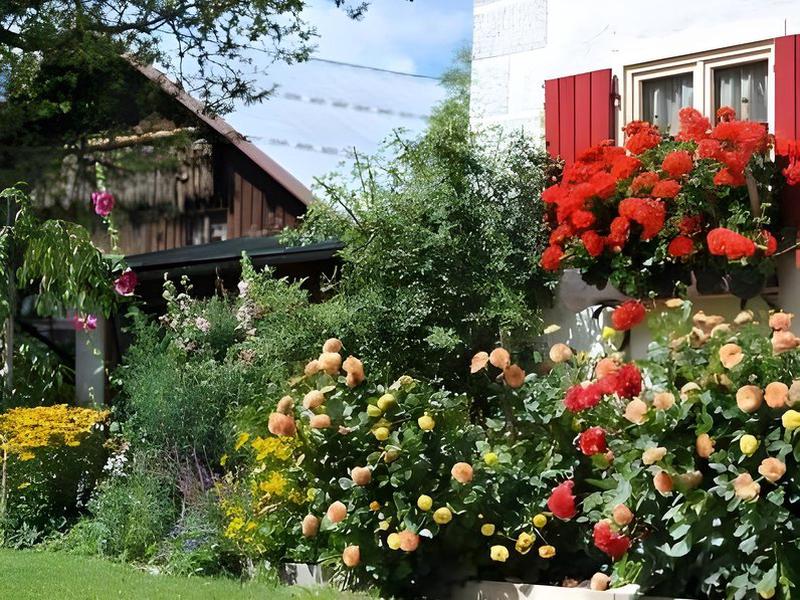 C1E9137A19072093E51C3826235865A1