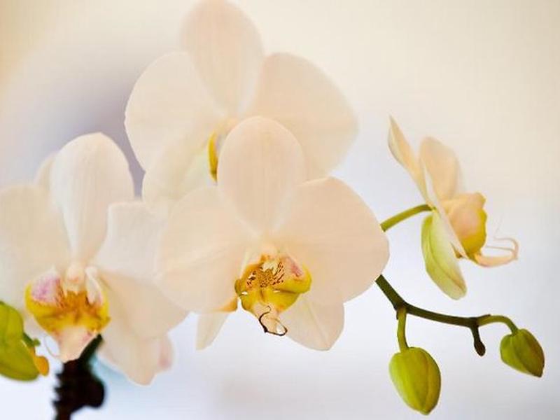 5A4EDC621F0F3257D030E81C6F21689B