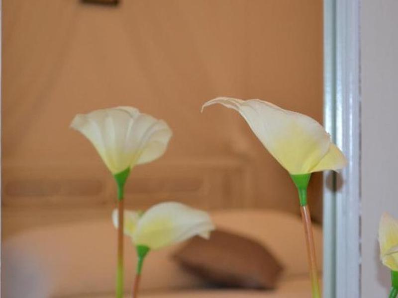 29C61F51D0B7D619A63D5C922CB03221