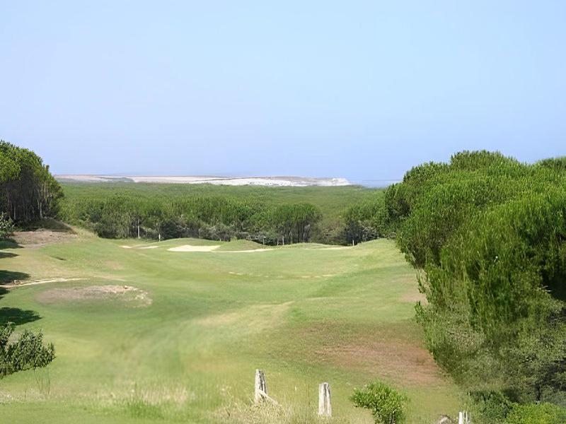 84240B2973BB3B71B3F8212EF8E1A92E