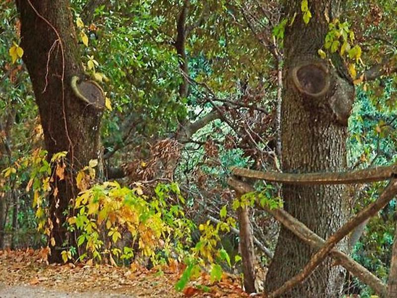 A8A8B93AEBBB397A45752D1FB018752B