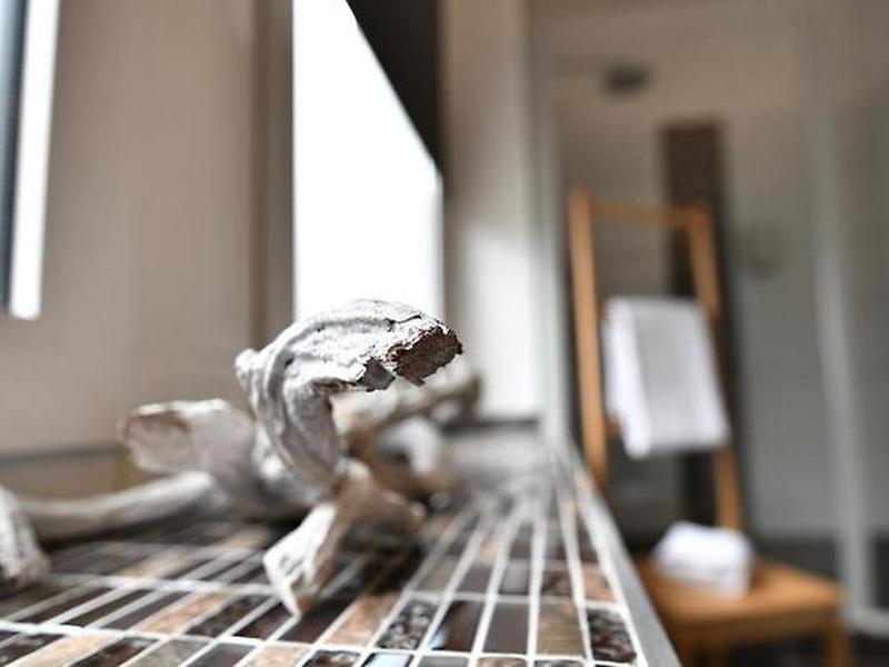 D573CD5D840DEA392D32982D065C8979