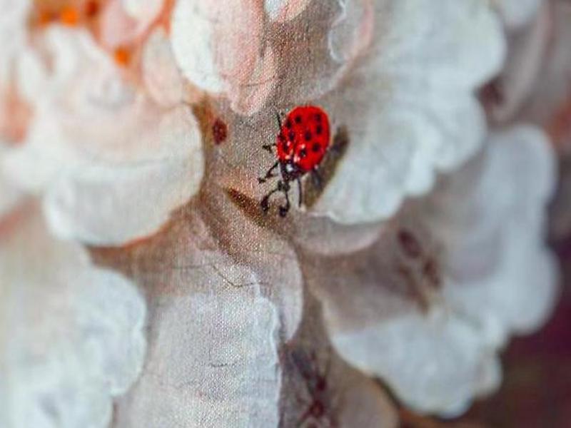 A92B355E423A600CDDBC19B4BD9A6711