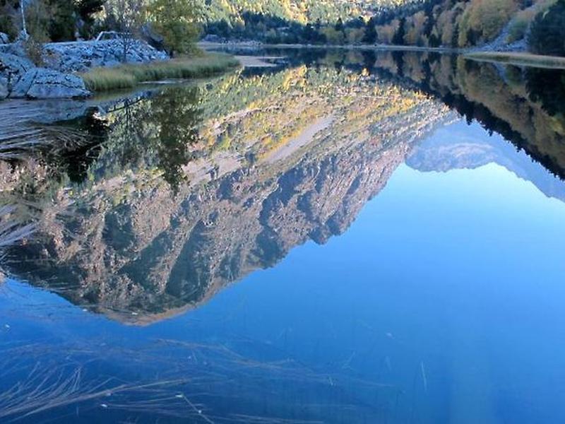 8A47A043F35EF48ED0E799037DC2FB41