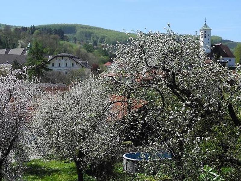 93EAC00539AFA22C55CB3525ADE2B682