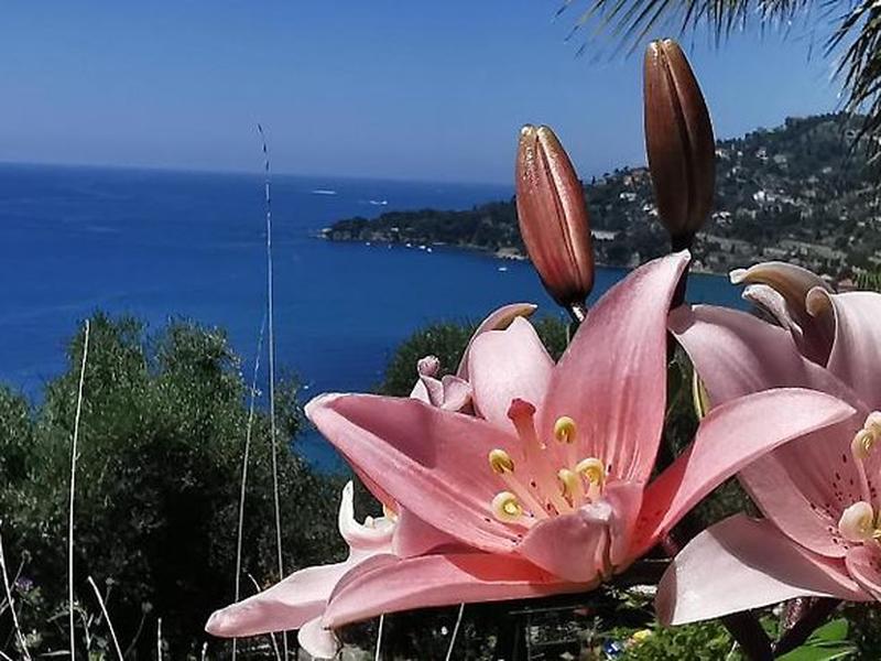 E7948E5F9EC460C5D71C5BF105F31BD4