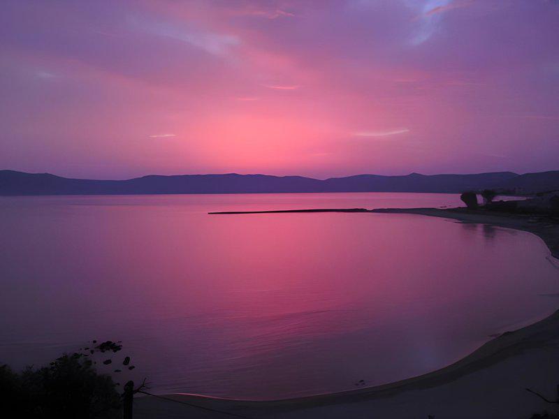 E4399B4CECA406A6920B3D6B6201D422