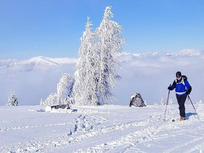 C98293752B63FA5AA19A68B647AB5E31