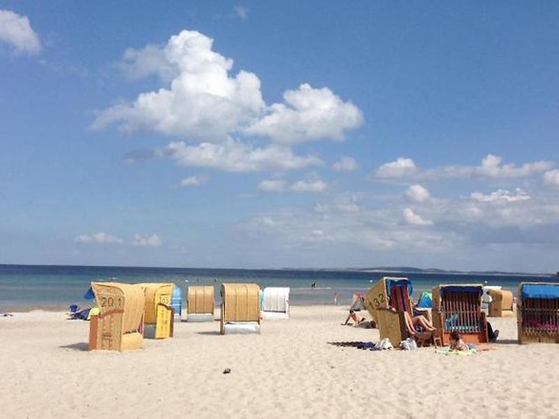 F8CE95701D1CDD34F5C837B15DABCA61