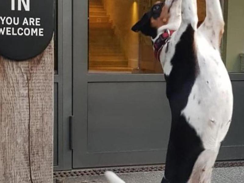 DFC3EB54FF2F289DF16E3D2AE54A5DD1