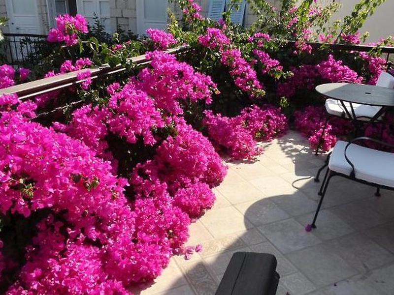 7FFAF74F65342E53AED8F4DD09C97F0B