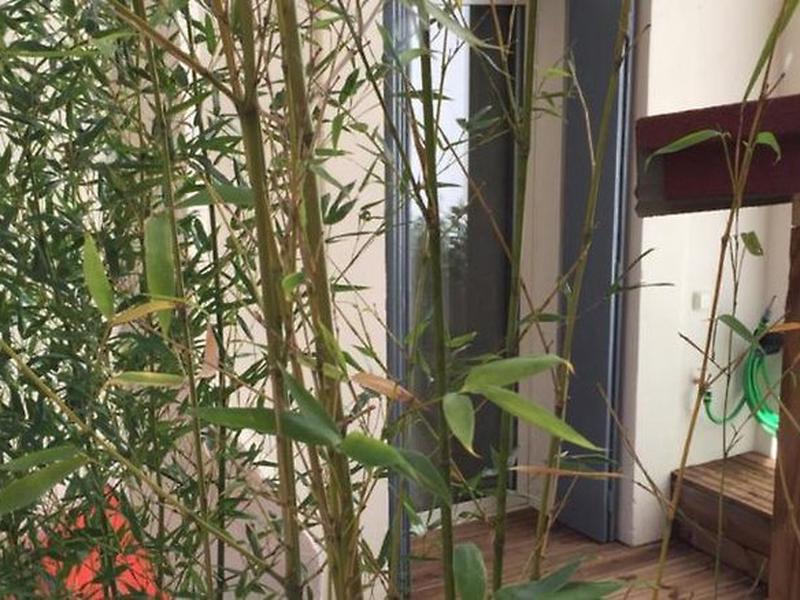 1AABA732B7DB8B1D349A499F3A513861